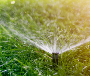 Lawn Irrigation, How to Irrigate Your Lawn, Irrigating Your Lawn, Lawn Irrigation