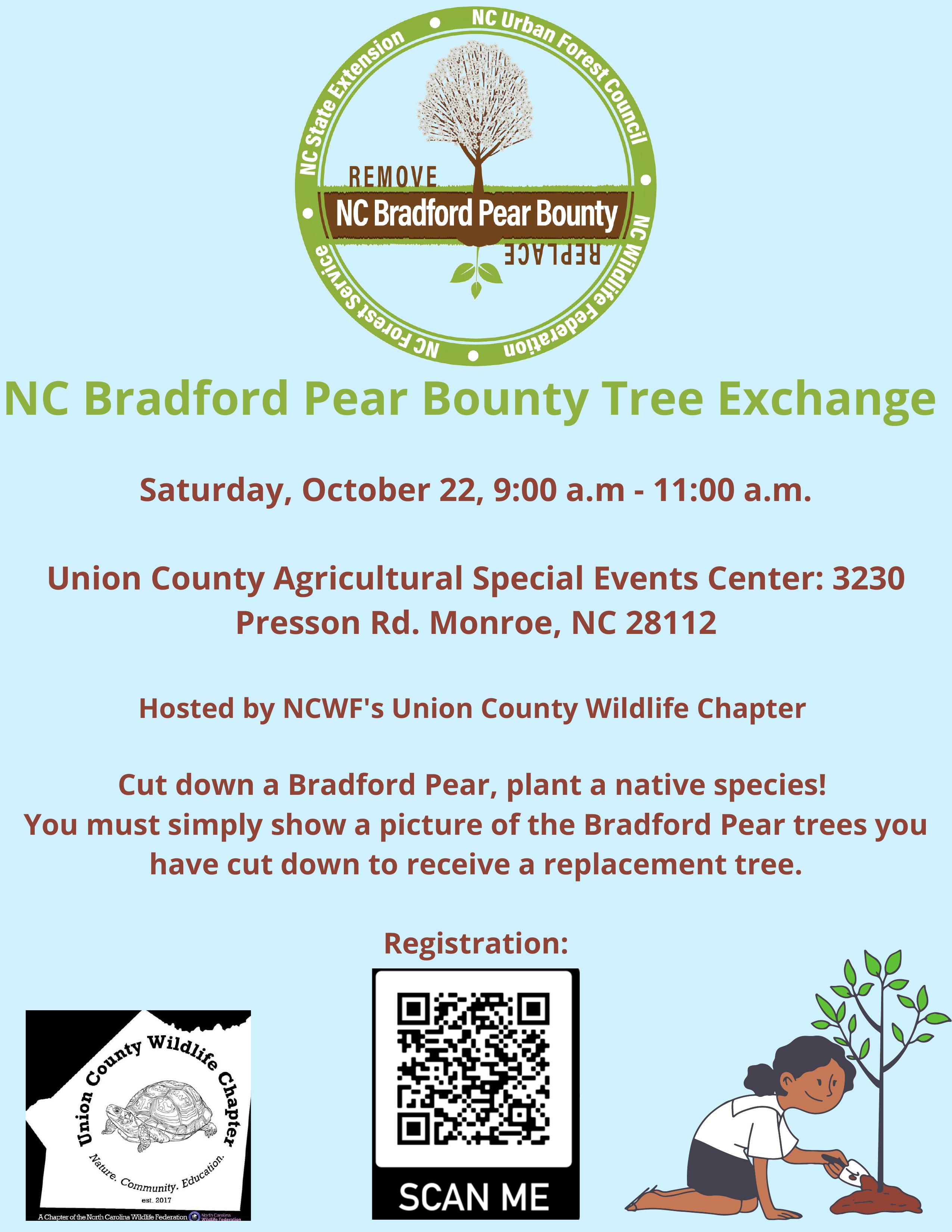 Bradford Pear Tree, Why are Bradford Pears Bad, Trees with Fishy Odor, Trees with Smelly Odor, Trees that Stink, Tree Stinks, Bradford Pear, Tree with White Flowers