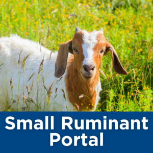 Small Ruminant Portal Tile