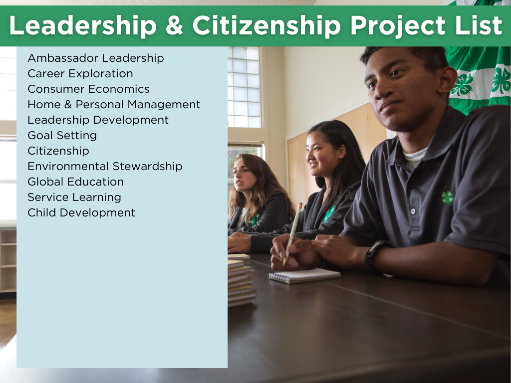 leadership and citizenship projects