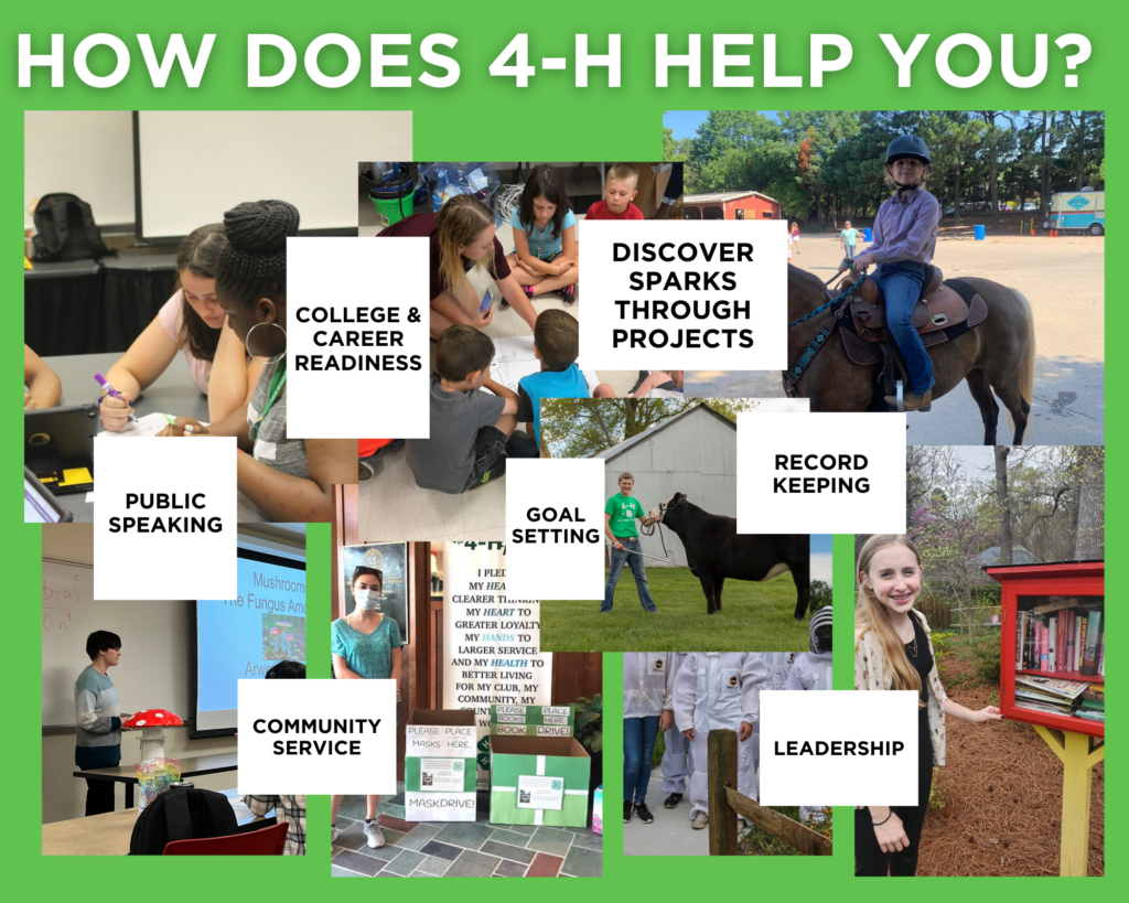 ways 4-h can help you