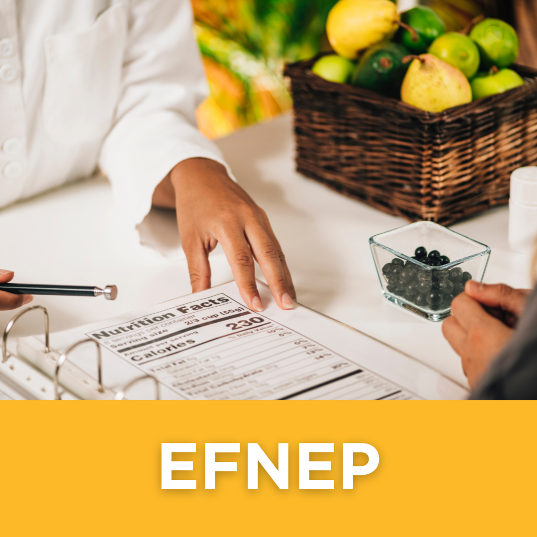 EFNEP, Youth Nutrition Courses, Adult Nutrition Courses, How to Make Nutritious Family Meals, Healthy Family Dinners
