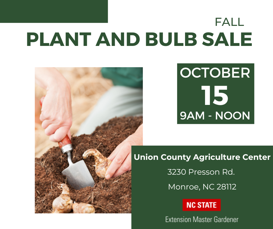 Fall Plant Sale, Fall Bulbs, Fall Planting, Perennials, Flowers, Gardening, Fall Gardening, Gardening in the Fall, Gardening in the South, Composting, Fall in NC, Charlotte Fall, Charlotte Gardening, Union County NC, North Carolina Gardening, Gardening in NC,