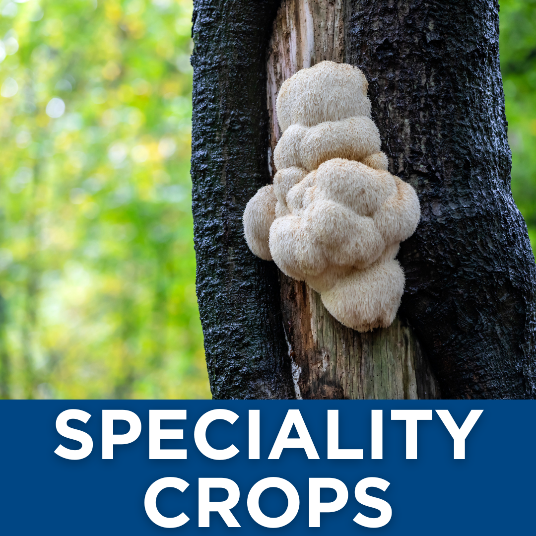 Speciality Crops