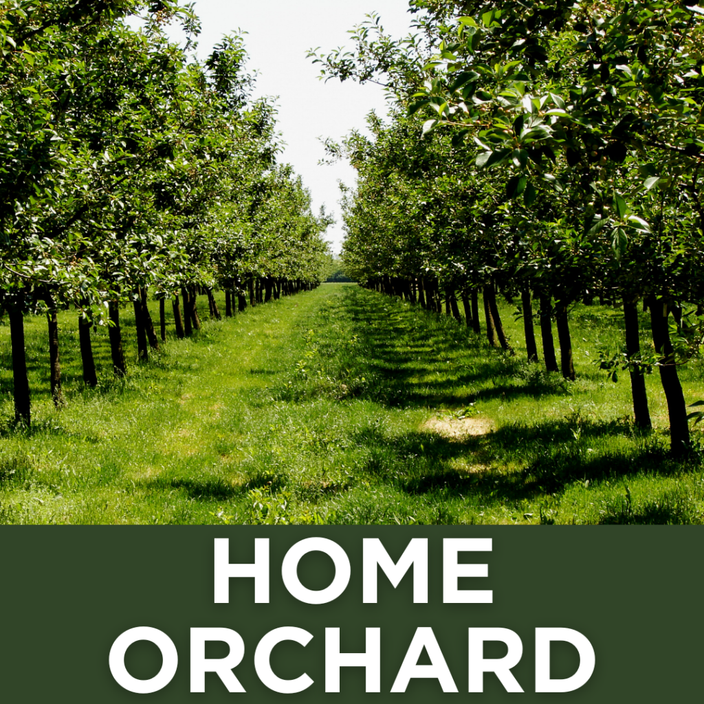 Home Orchard, Home Orchard in North Carolina, Orchards in NC, Orchards in North Carolina, Chill Hours in North Carolina