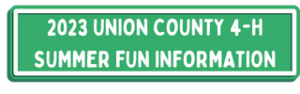 summer fun information button
