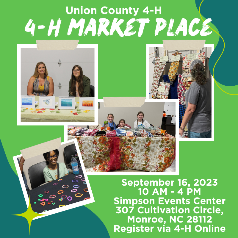4-h members of union county can sell items during 4-H expo