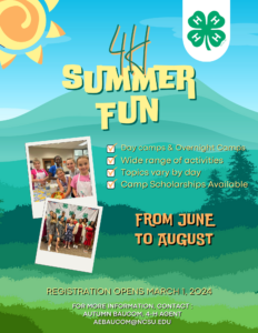 Summer Fun 2024 Flyer