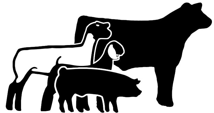 Livestock Clipart