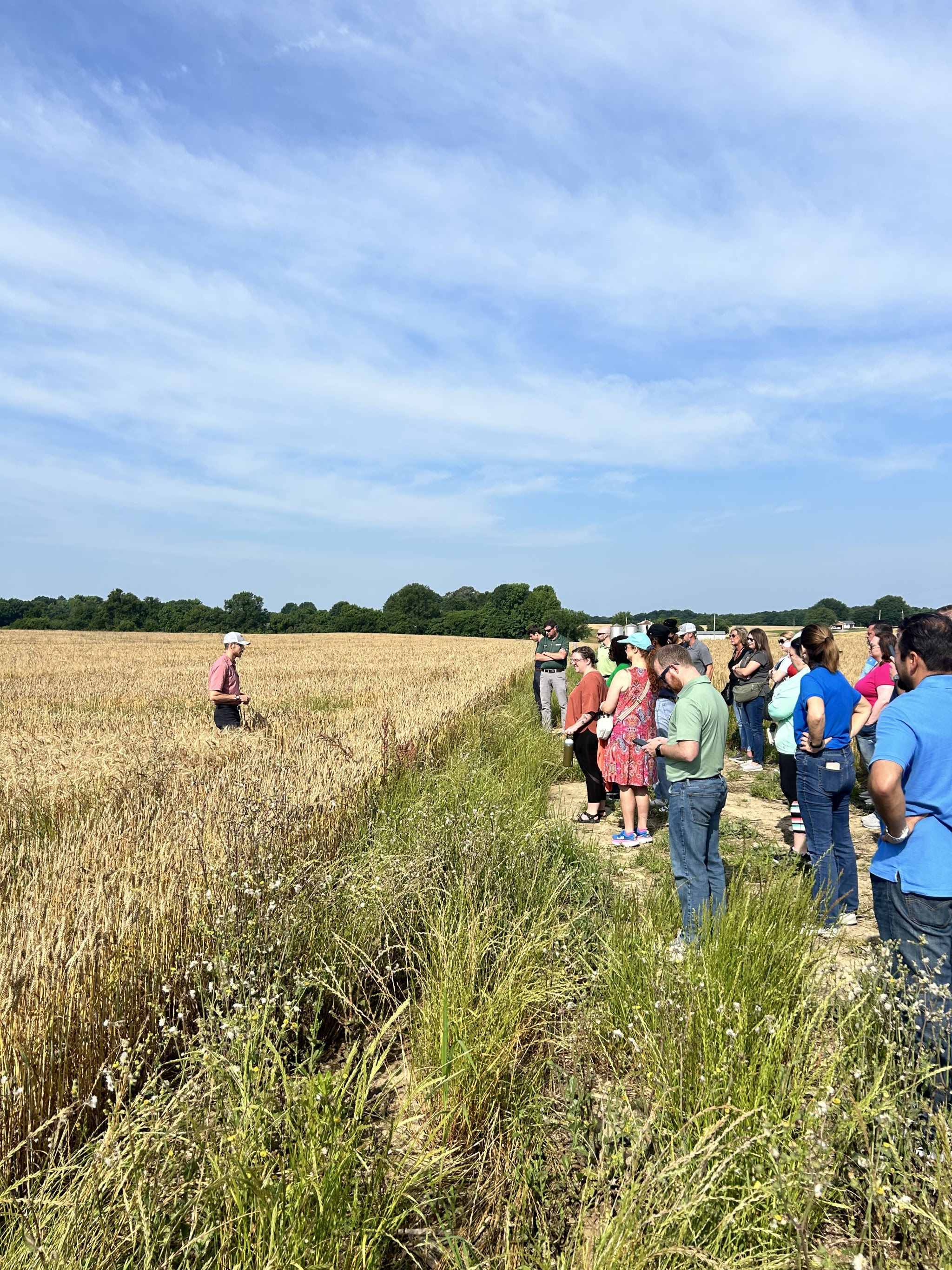 Participants listening to speaker in wheat field 