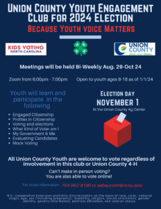 Youth voting flier