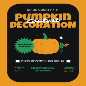 Pumpkin Decoration Flyer